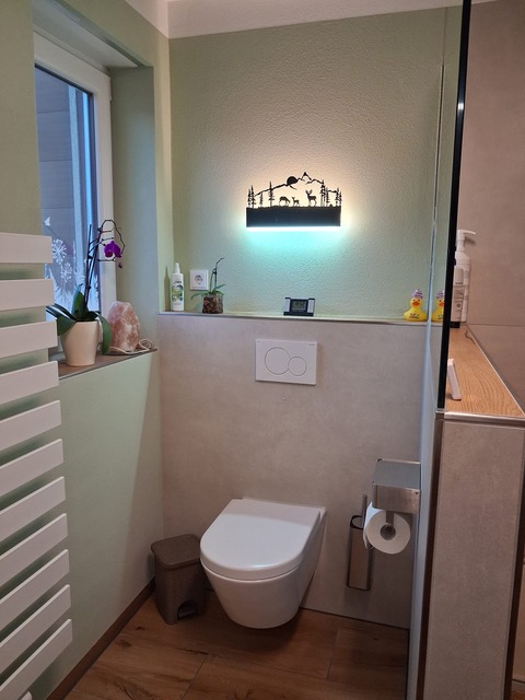 Modernes Bad räumlicher Trennung von WC und Dusche